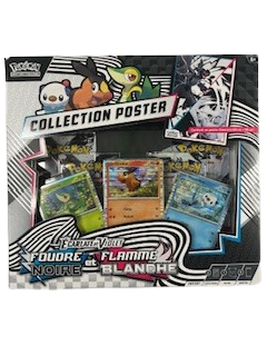 Coffret Poster EV10.5